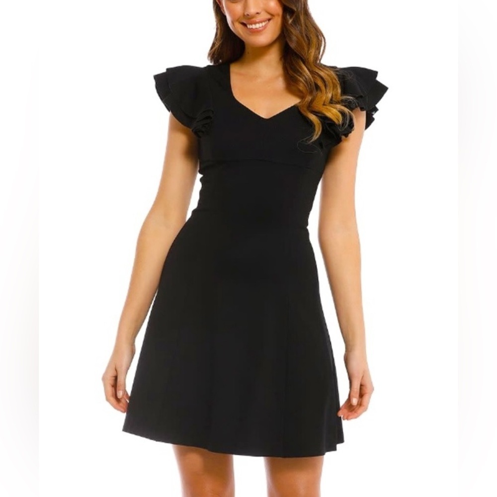 Elliatt Sicily Black Skater‎ Dress Size Large Ruffle Sleeves NWT